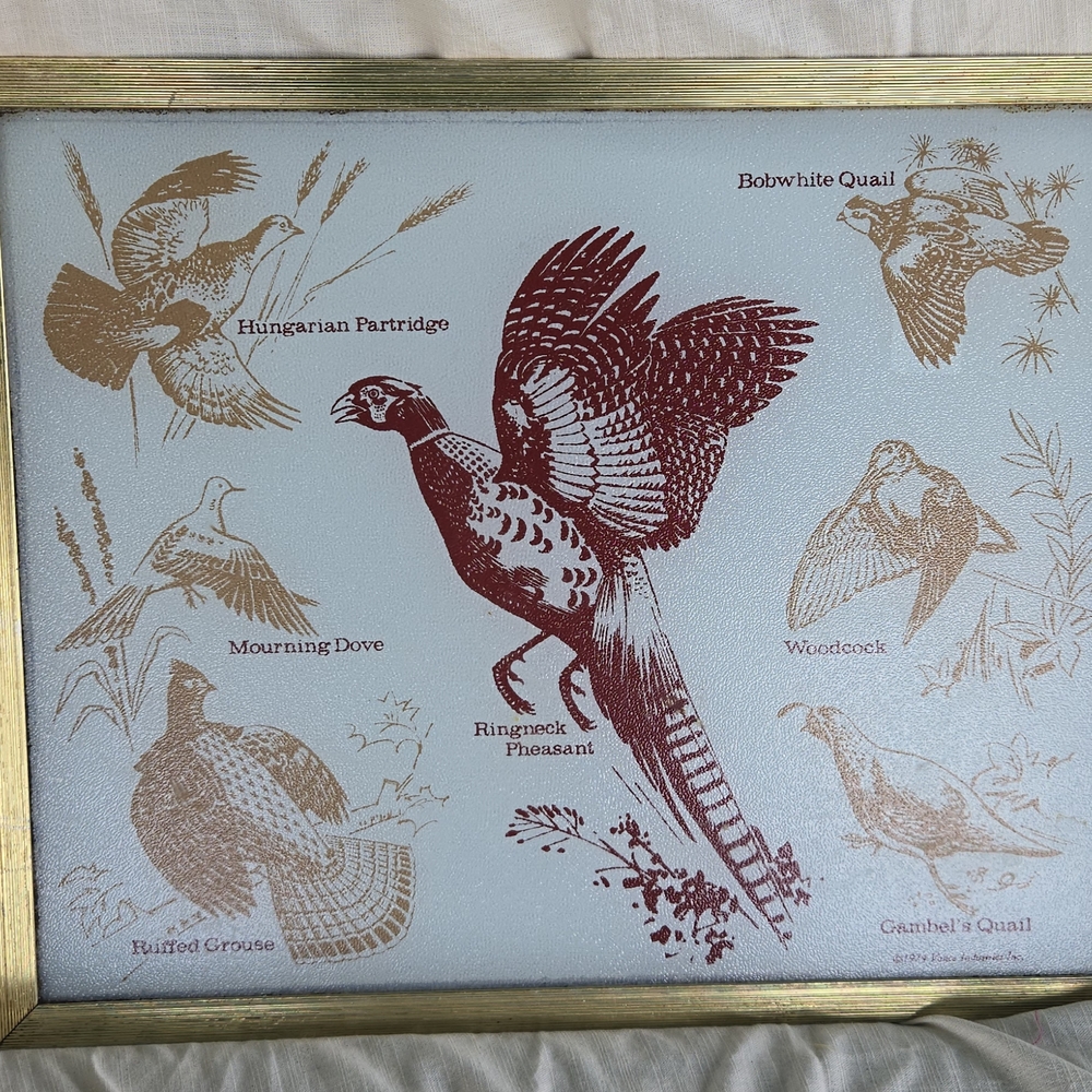 Framed 1974 Vance Industries Game Bird Glass Cutting Board